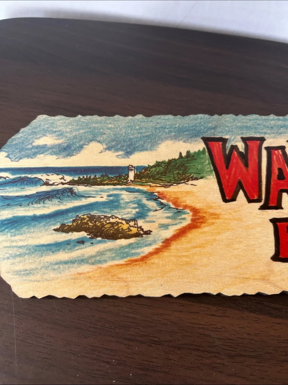NWT COCO NENE Waimea Bay Wall Decor